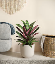 Load image into Gallery viewer, Natural Bamboo
