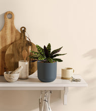 Load image into Gallery viewer, Iron Gray
