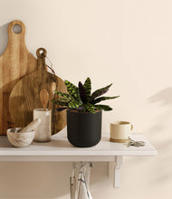 Load image into Gallery viewer, Stone Black
