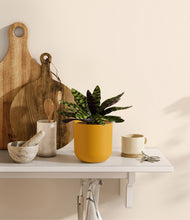 Load image into Gallery viewer, Sunset Orange
