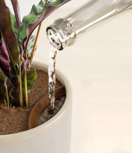 Load image into Gallery viewer, Snowdrift White stand:all
