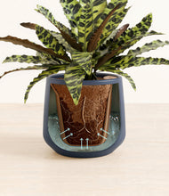 Load image into Gallery viewer, Almond Green stand:all
