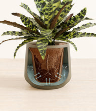 Load image into Gallery viewer, Deep Navy stand:all
