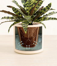 Load image into Gallery viewer, White stand:all
