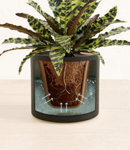 Load image into Gallery viewer, Cream stand:all
