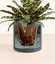 Load image into Gallery viewer, Deep Navy stand:all
