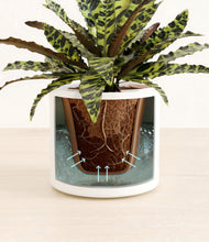 Load image into Gallery viewer, Dark Olive stand:all
