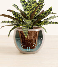 Load image into Gallery viewer, Desert Brown stand:all
