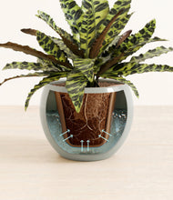 Load image into Gallery viewer, Winter Clouds stand:all
