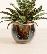 Load image into Gallery viewer, Calm Rose stand:all
