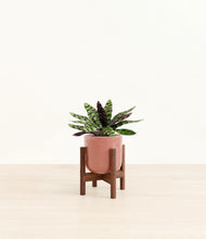 Load image into Gallery viewer, Hammered Rose Pink stand:walnut
