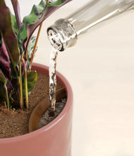 Load image into Gallery viewer, Hammered Rose Pink stand:all
