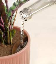 Load image into Gallery viewer, Striped Rose Pink stand:all
