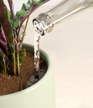 Load image into Gallery viewer, Turquoise stand:all
