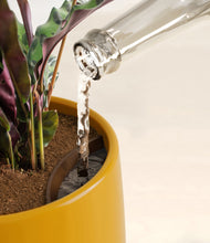 Load image into Gallery viewer, Mustard stand:all
