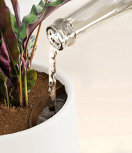 Load image into Gallery viewer, White stand:all
