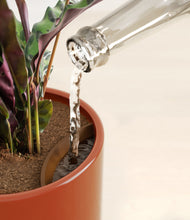 Load image into Gallery viewer, Glossy Red stand:all
