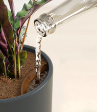 Load image into Gallery viewer, Iron Gray stand:all
