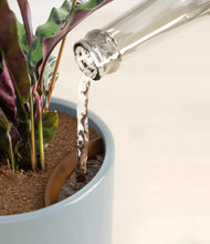 Load image into Gallery viewer, Misty Blue stand:all
