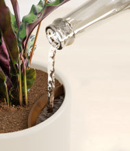 Load image into Gallery viewer, Cotton White stand:all
