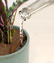 Load image into Gallery viewer, Reactive Aqua stand:all
