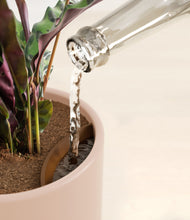 Load image into Gallery viewer, Sandy Pink stand:all
