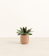 Load image into Gallery viewer, Hammered Peach Pink*****Profile
