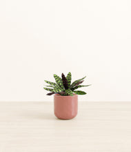 Load image into Gallery viewer, Hammered Rose Pink*****Profile
