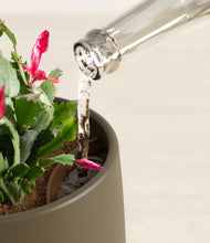 Load image into Gallery viewer, Olive stand:all
