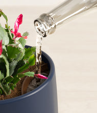 Load image into Gallery viewer, Deep Navy stand:all
