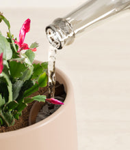 Load image into Gallery viewer, Gentle Pink stand:all
