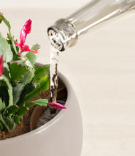 Load image into Gallery viewer, Winter Clouds stand:all
