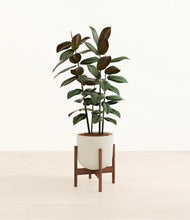 Load image into Gallery viewer, Natural Bamboo stand:walnut
