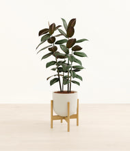 Load image into Gallery viewer, Natural Bamboo stand:bamboo
