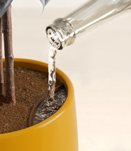 Load image into Gallery viewer, Mustard stand:all
