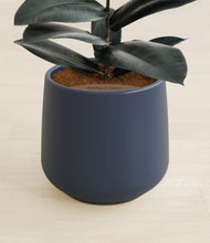 Load image into Gallery viewer, Deep Navy stand:all
