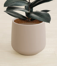 Load image into Gallery viewer, Eternal Gray stand:all
