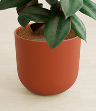 Load image into Gallery viewer, Earth Red stand:all
