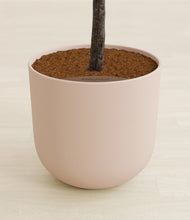 Load image into Gallery viewer, Sandy Pink
