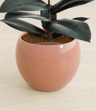Load image into Gallery viewer, Calm Rose stand:all

