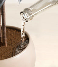 Load image into Gallery viewer, Desert Brown stand:all
