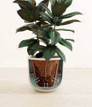 Load image into Gallery viewer, Natural Bamboo stand:all
