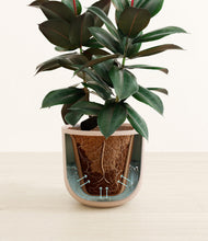 Load image into Gallery viewer, Sandy Pink stand:all
