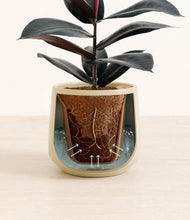 Load image into Gallery viewer, Almond Green stand:all

