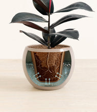 Load image into Gallery viewer, Desert Brown stand:all
