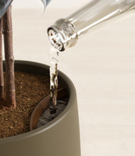 Load image into Gallery viewer, Olive stand:all

