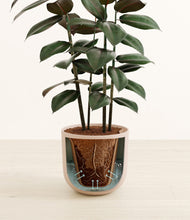 Load image into Gallery viewer, Natural Bamboo stand:all
