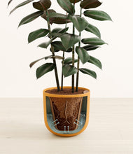 Load image into Gallery viewer, Sandy Pink stand:all
