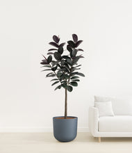 Load image into Gallery viewer, Iron Gray
