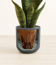 Load image into Gallery viewer, Iron Gray stand:all
